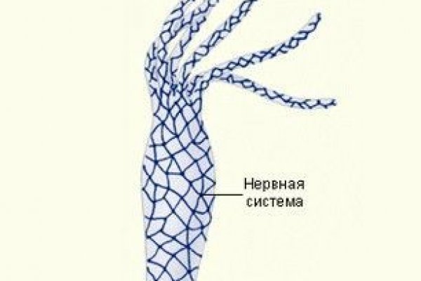 Kraken что это такое