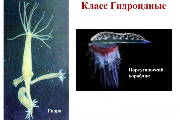Как найти кракен шоп