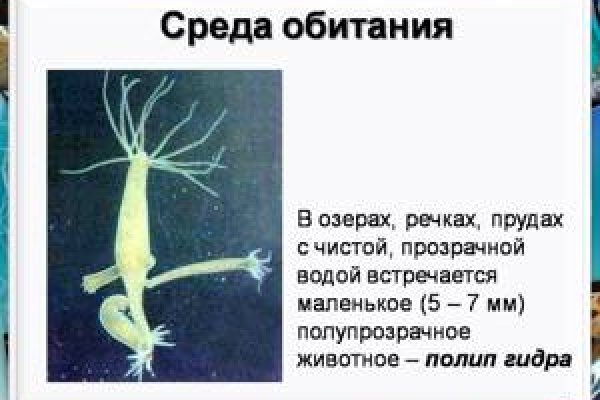 Ссылка на kraken торговая площадка