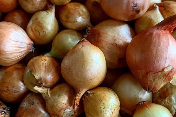 Кракен маркетплейс актуальные ссылки