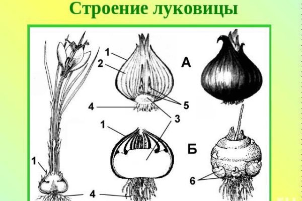 Кракен маркет даркнет speed up