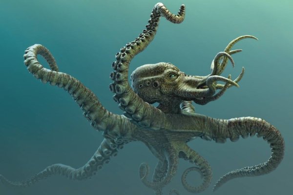 Kraken clear ссылка