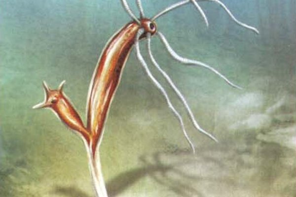 Kraken зеркала маркетплейс