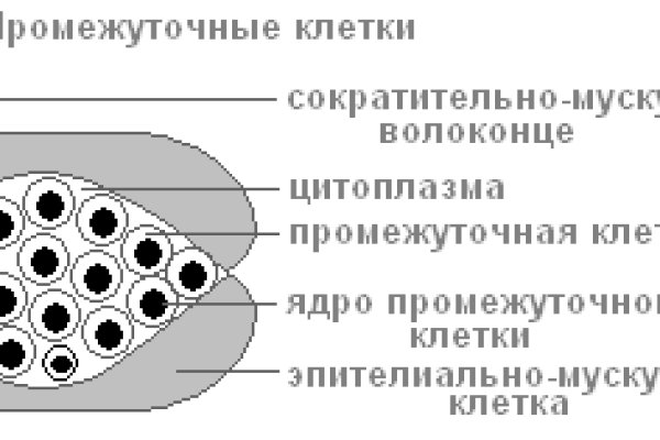 Ссылки на кракен at