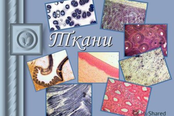 Кракен сайт наркотиков