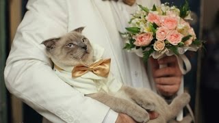 Ссылка на сайт кракен в тор браузере