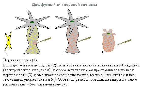 Кракен маркетплейс отзывы