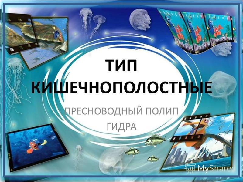 Kraken зеркало krakentor site